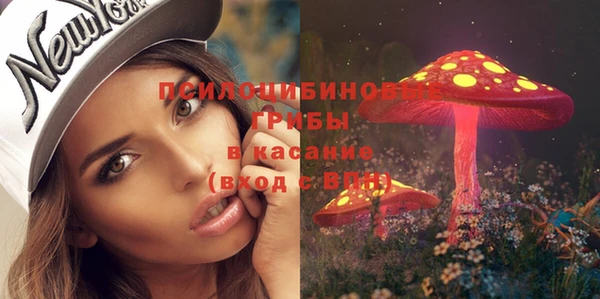 винт Пестово