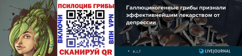 Галлюциногенные грибы Magic Shrooms  Бежецк 
